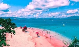 向往的大海 向往的大海