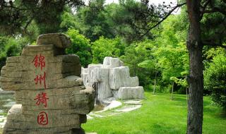 世博园旅游攻略 世博园旅游攻略