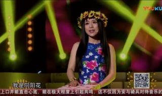 向阳花安与骑兵 向阳花安与骑兵