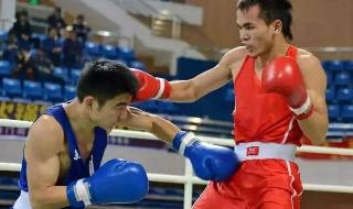 世界拳王争霸赛 世界拳王争霸赛