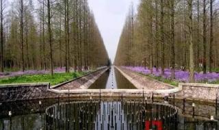 上海市孙桥中学怎么样 上海孙桥现代农业园