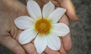 形容爱情双方很相爱的成语 相爱天地间