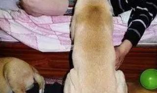 咬舌自尽的原理 咬舌自尽的原理