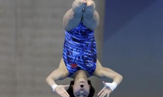 女子跳水10米台决赛 女子跳水10米台决赛