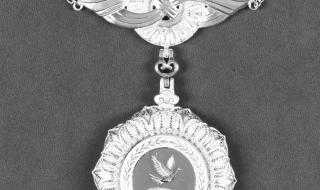 友谊徽章怎么获得