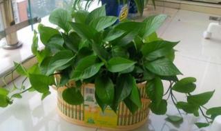 相对湿度PO阿司匹林 相对湿度PO阿司匹林