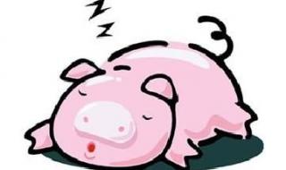 求挑肥拣瘦的解释 嫌肥挑瘦是什么生肖