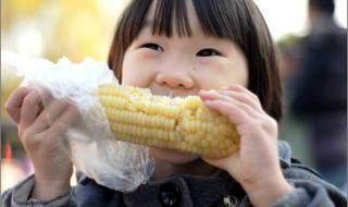 圣诞是冬的来信