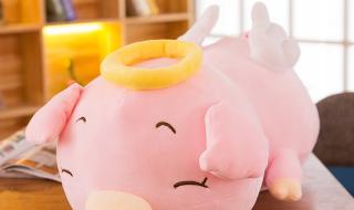 CF天使玩偶加成500%的经验吗 cf天使玩偶