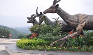 重庆动物园怎么玩 重庆野生动物园