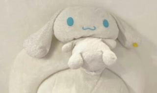 大耳狗和玉桂狗有什么区别 好看的玉桂狗背景图