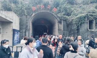 2023年兔年为什么百年一遇 2023兔最火背景图片