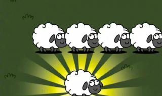 魔兽世界那个区的服务器部落和联盟的人数比较平均 魔兽世界服务器比例