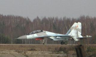 阿尔及利亚主要人种 阿尔及利亚海参品种